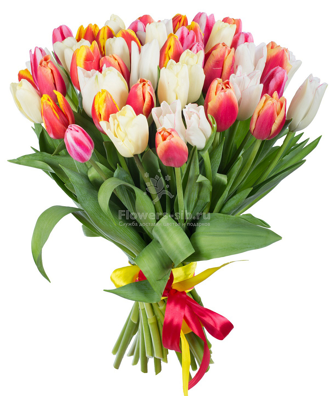 Bouquet of 51 tulips